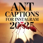 Ant Captions For Instagram