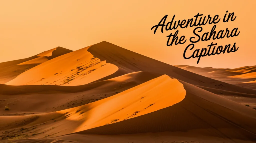 Adventure in the Sahara Captions