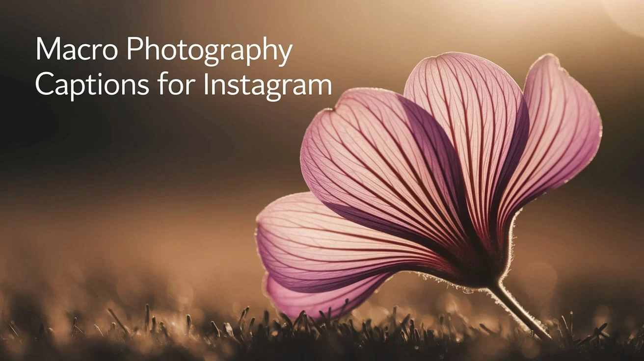 Macro Photography Captions For Instagram