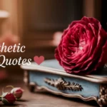 Aesthetic Love Quotes for Soul