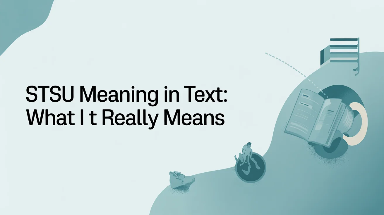 STSU Meaning in Text